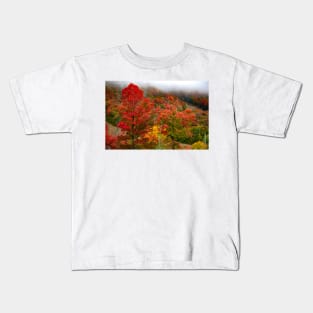 Bear Mountain Autumn Kids T-Shirt